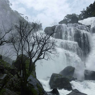 Orion Nest Stay Coorg